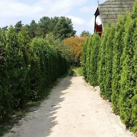 Wyspa KampinosBrochów エクステリア 写真